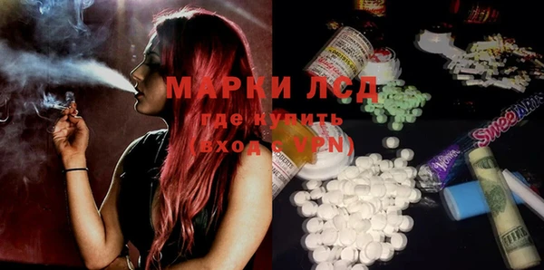 ПСИЛОЦИБИНОВЫЕ ГРИБЫ Баксан