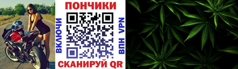цена наркотик  Шелехов  Шишки марихуана SATIVA & INDICA 